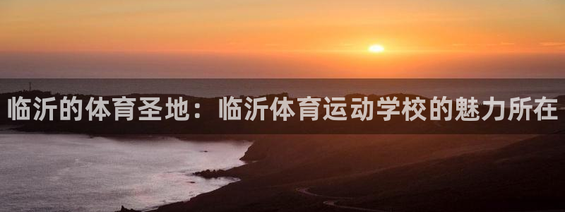 vsport体育官方正版app集团官网首页：临沂的体