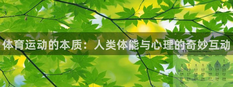 vsport体育官网下载平台注册流程视频：体育运动的