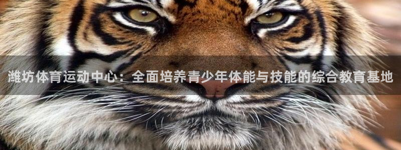 vsport体育官网下载招商电话是多少啊：潍坊体育运