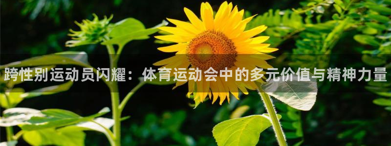 vsport体育官网下载平台假的吗是真的吗吗：跨性别