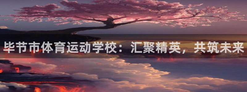 海南vsport体育官网下载发展怎么样：毕节市体育运