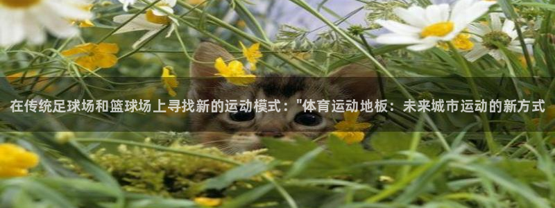 vsport体育官方正版app娱乐网站：在传统足球场