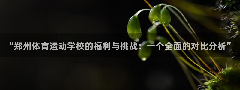vsport体育官网下载平台假的吗是真的吗：“郑州体育运动学