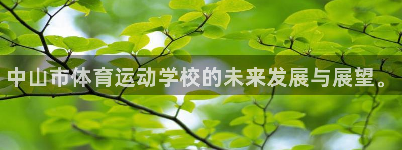 vsport体育官网下载软件：中山市体育运动学校的未