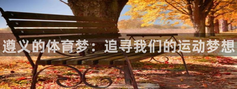 注册vsport体育官方正版app：遵义的体育梦：追