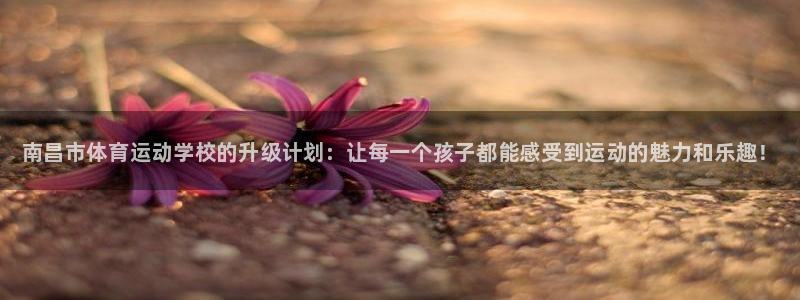 vsport体育官方正版app集团E.ON：南昌市体育运动学