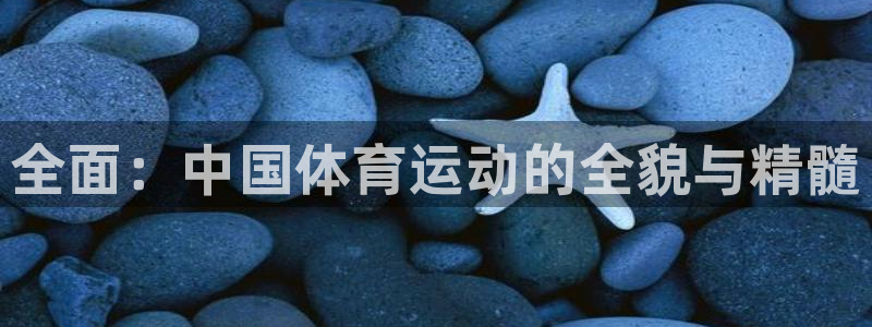 vsport体育官网下载平台假的吗是真的吗吗：全面：中国体育