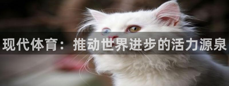 vsport体育官网下载平台注册要钱吗安全吗：现代体