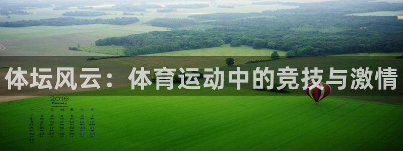 vsport体育官方正版app集团官网首页