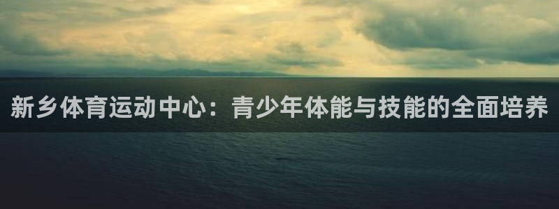 vsport体育官方正版app集团官网网址