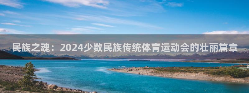 vsport体育官方正版app娱乐40996：民族之魂：20