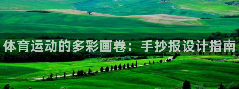 vsport体育官网下载招商电话是多少：体育运动的多彩画卷：