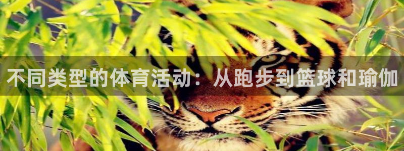 vsport体育官方集团官网：不同类型的体育活动：从跑步到篮