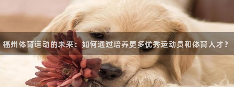 vsport体育官方正版app集团E.ON：福州体育运动的未
