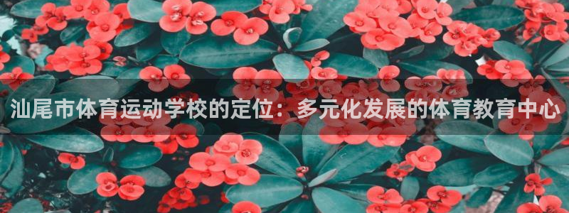 vsport体育官方正版app新能源：汕尾市体育运动学校的定