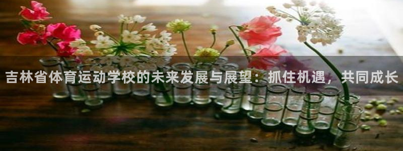 vsport体育官方正版app娱乐是那个系列的台子