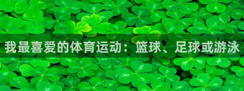 vsport体育官网下载平台注册要钱吗安全吗：我最喜爱的体育