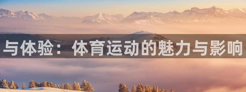 vsport体育官方正版app官方：与体验：体育运动的魅力与