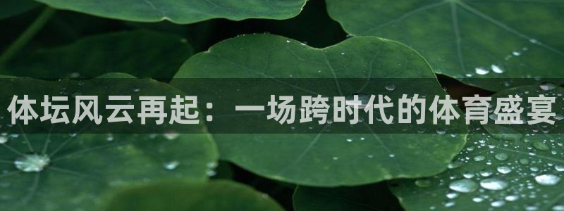 vsport体育官方正版app五金厂：体坛风云再起：一场跨时