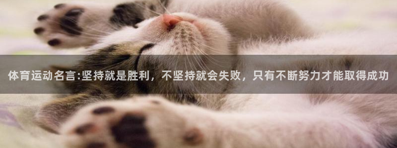VSport体育官网入口：体育运动名