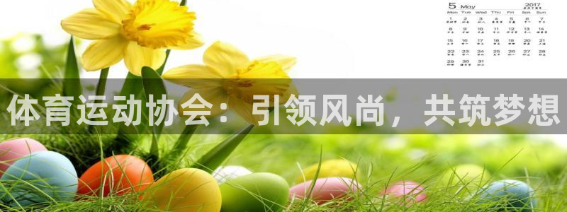  vSport体育在线登录平台：体育运动协会：引领风尚，共筑梦