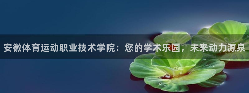 vsport体育在线官网：安徽体育运