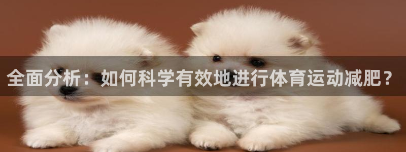vsport体育平台app：全面分析