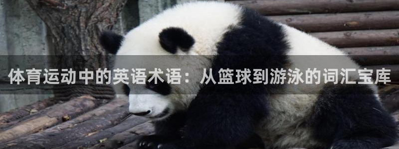 vsport体育平台：体育运动中的英