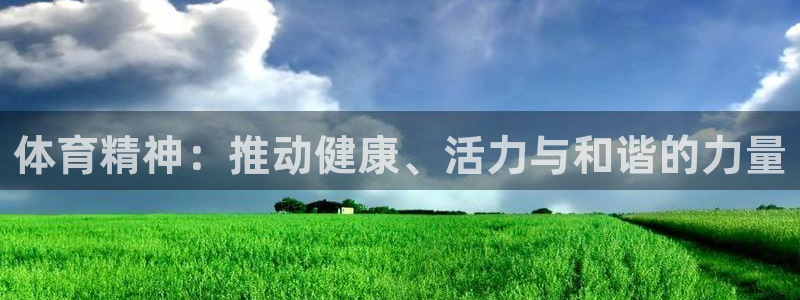  vsport体育平台app下载安装免费：体育精神：推动健康、