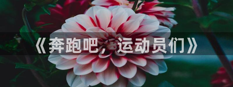 vSport体育在线登录平台：《奔跑吧，运动员们》