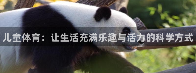  vsport体育在线官网阿根廷：儿童体育：让生活充满乐趣与活