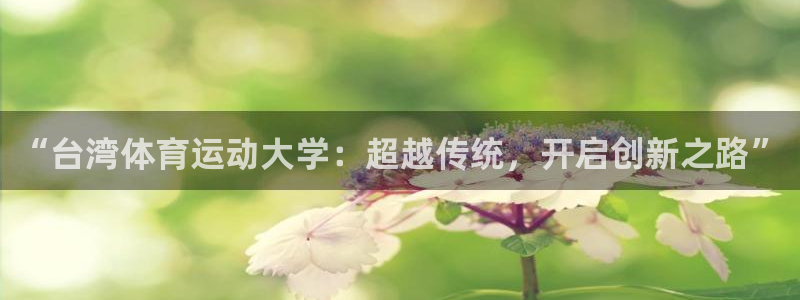 vsport体育平台app：“台湾体