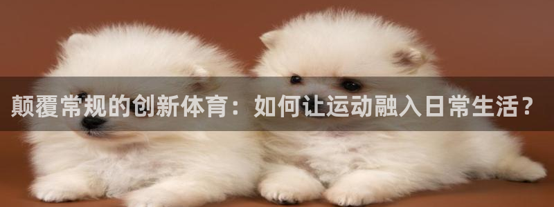 vsport体育阿根廷