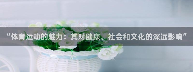 Vsport体育官方网站入口