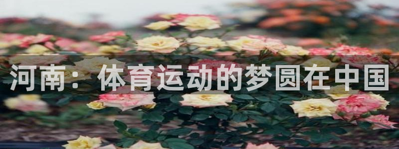 vsport体育在线官网阿根廷