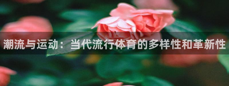 vsport体育在线官网阿根廷