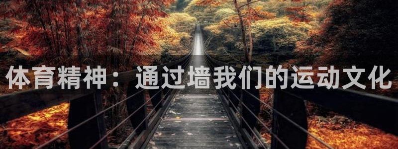 vsport体育官方正版app娱乐40996：体育精