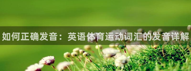 vsport体育官方正版app集团官网网址:如何正确发音:英