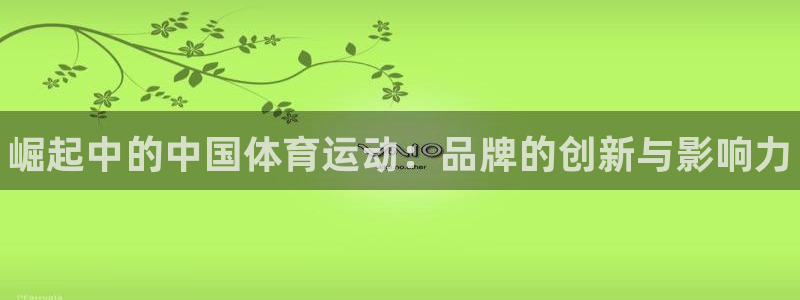 vsport体育官网下载平台APP:崛起中的中国体育运动:品