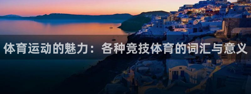 vsport体育官网下载联系电话:体育运动的魅力:各种竞技体