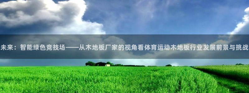注册vsport体育官方正版app:未来:智能绿色竞技场——