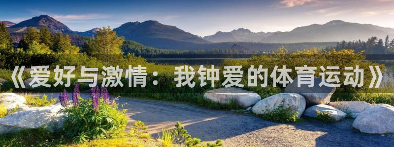 vsport体育官方正版app娱乐：《爱好与激情：我