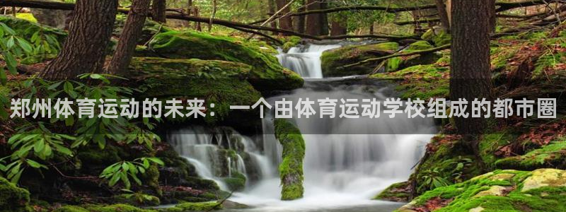 vsport体育官方正版app神州：郑州体育运动的未