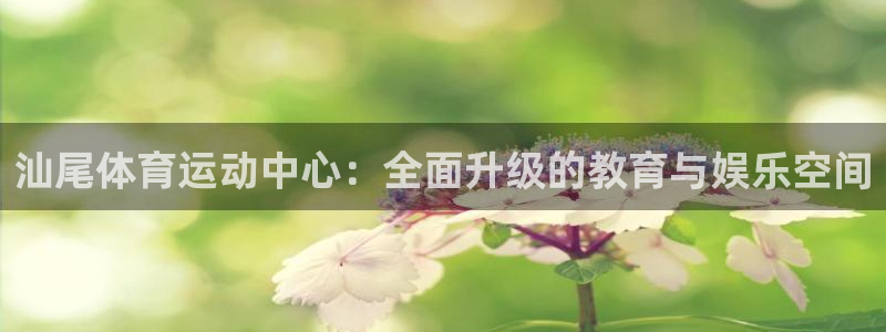 vsport体育官网下载招商:汕尾体育运动中心:全面升级的教